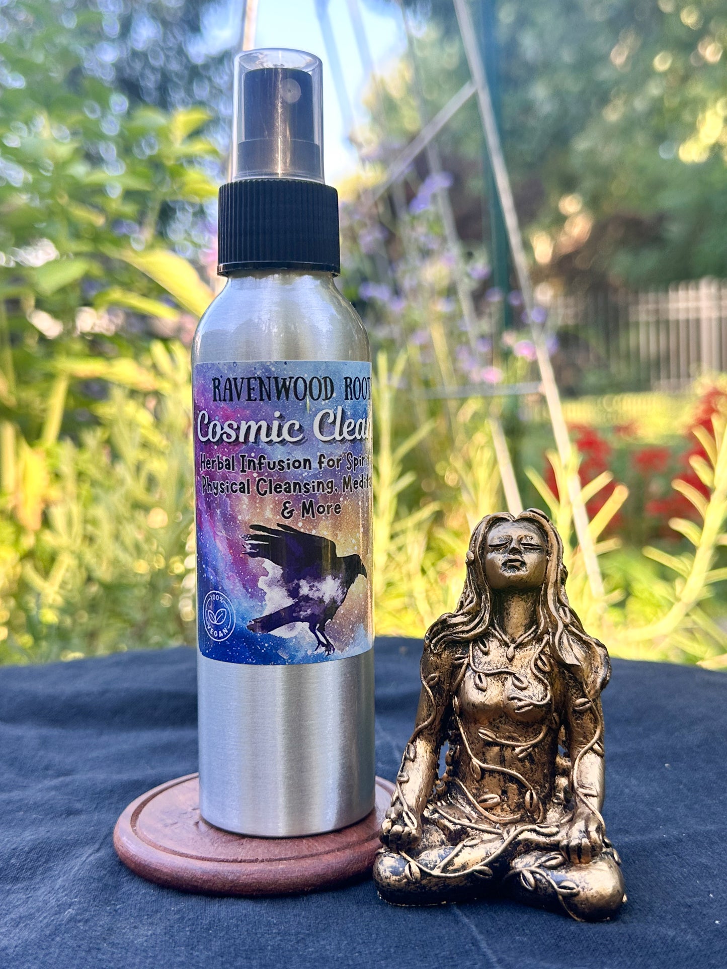 Cosmic Cleanse